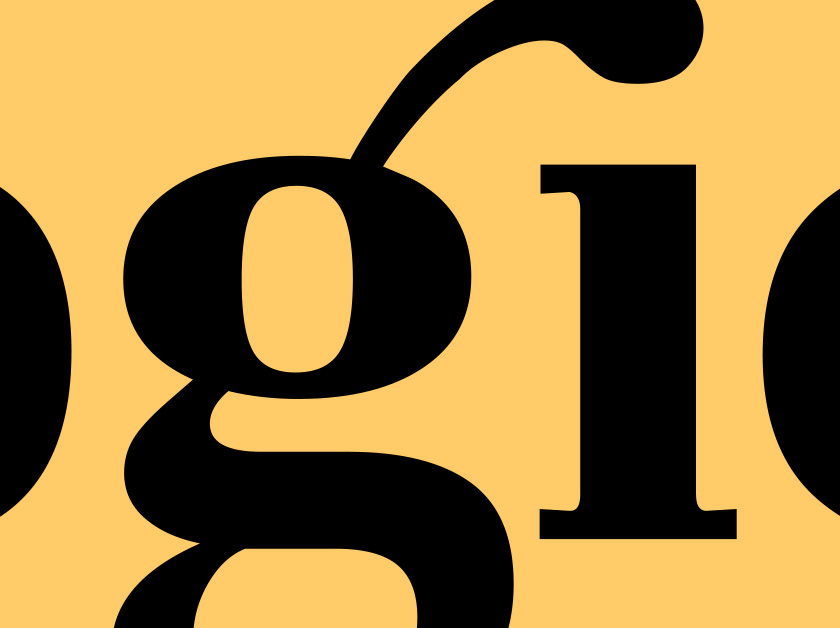 Surjit S. Bhalla website